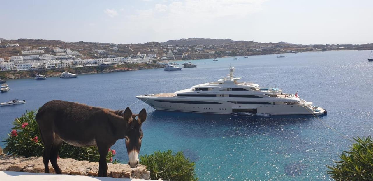 Aparthotel Mykonos Azure Psarrou Exterior foto